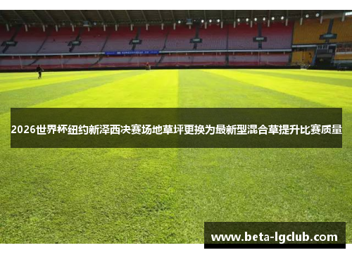 2026世界杯纽约新泽西决赛场地草坪更换为最新型混合草提升比赛质量